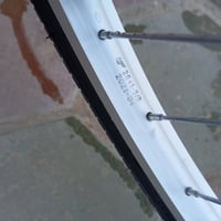 مراوس باسكل • نضيف