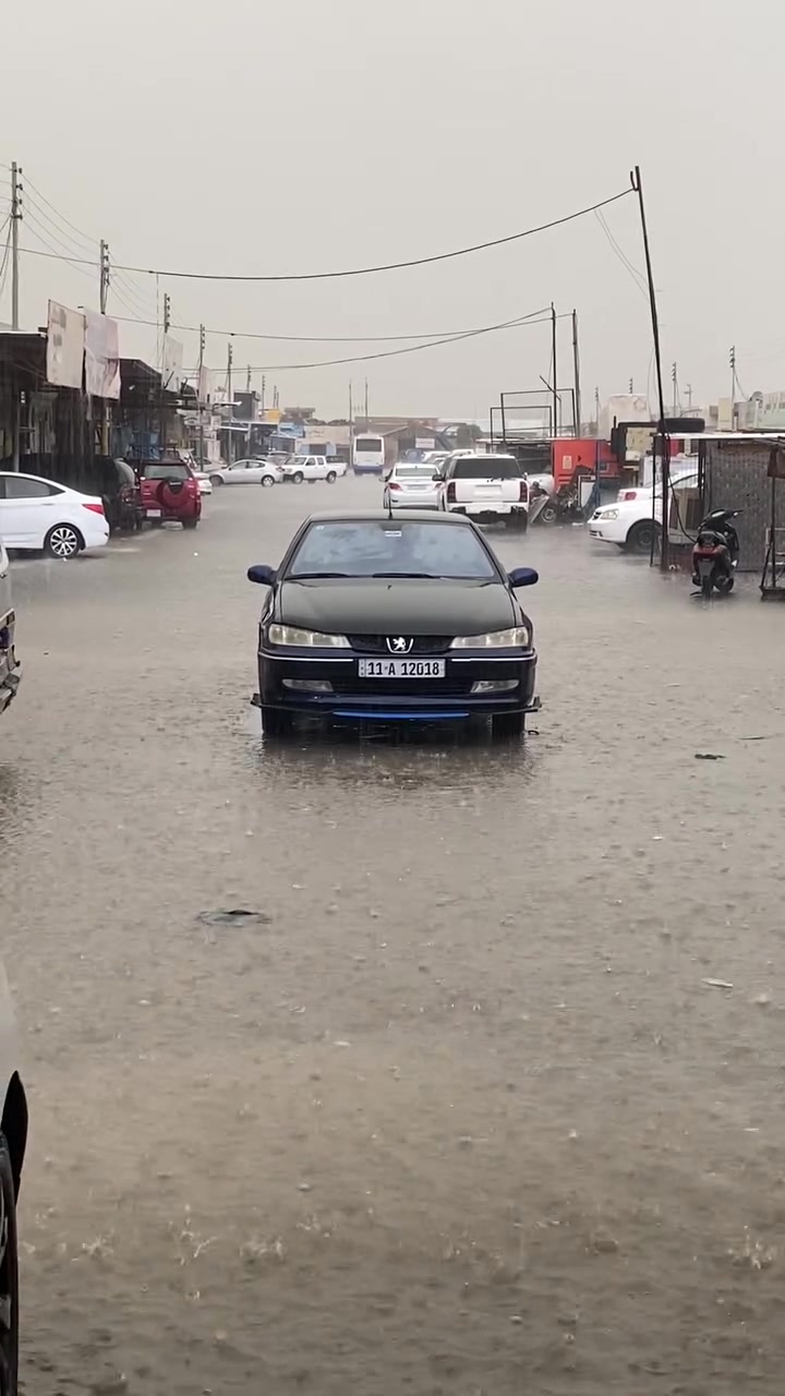 406 2001سياره جاهزه بدون صبغ بدون حادث بدون ايرباك بدون تبديل تبريد ثلج كير جديد مكينه حاوية /السياره حاليا بيه كازكيت تشتغل بس تخربط واريد أبيعه على وضعها/***********
