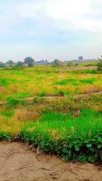 ٧دونم • ماء وكهرباء • قضاء النجمي