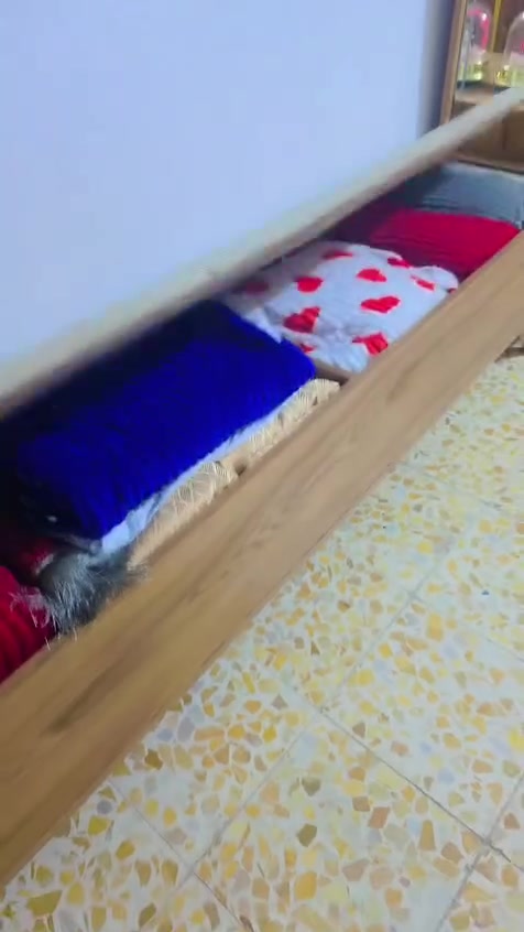 للبيع ٣٠٠


**إذا كنت صاحب هذا الإعلان وتريد حذفه لأي سبب، رجاءا أرسل رسالة إلى الدعم الفني**