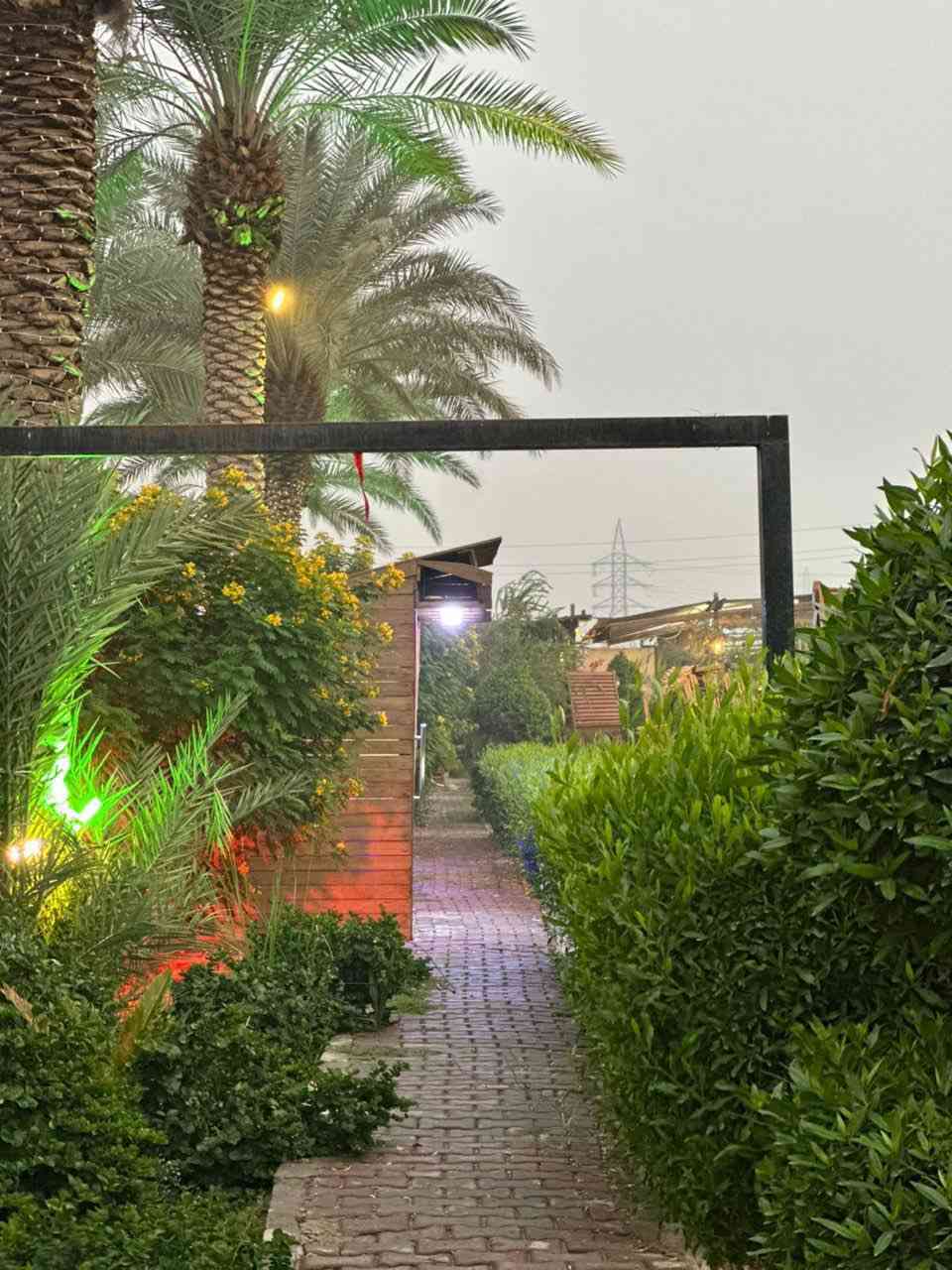 مزرعة بيت أهلنا Vip
لتواصل واتس حصراً 
***********
