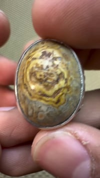 داوودي • قديم مرعب • تفاصيل خاص