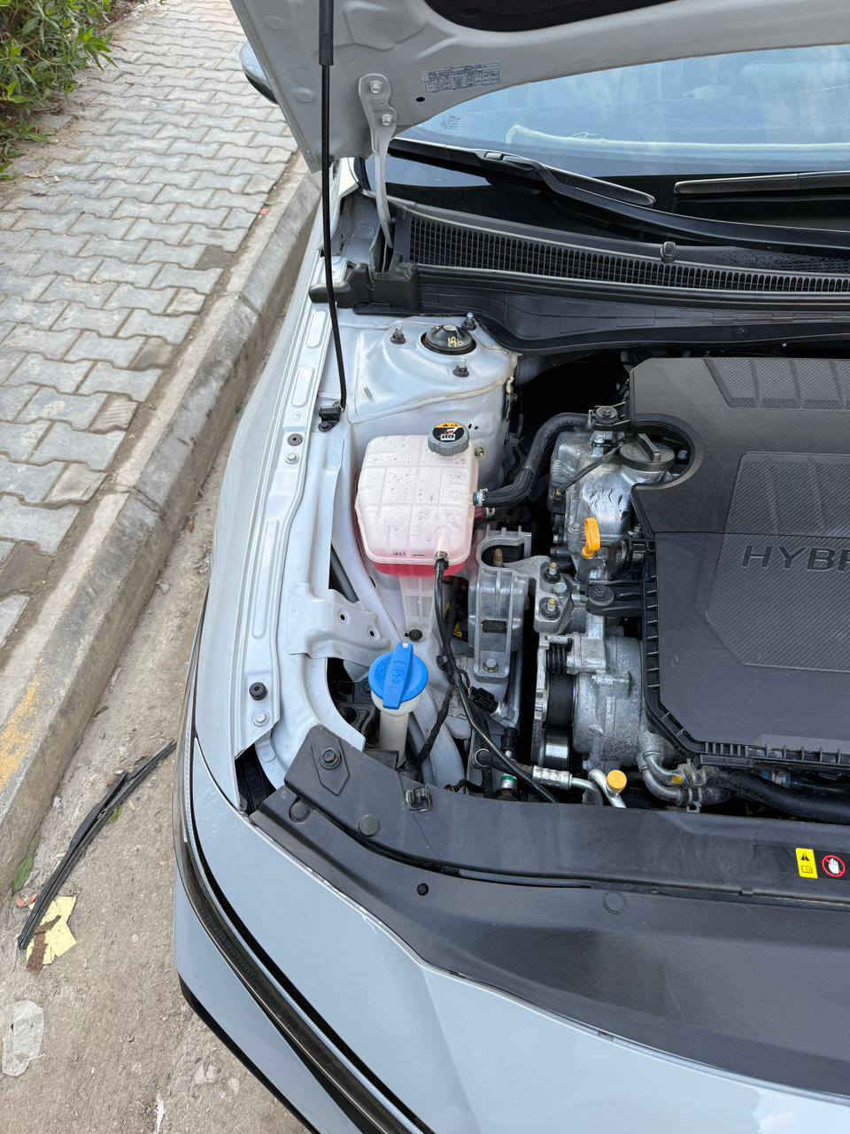 اخوان : السلام عليكم
الالنترا افانتي هايبرد ( وارد كوري ) دخول جديد على ايدي …… 

موديل 2024 ( السياره رقم بغداد علماً ان السيارة بأسمي ) تحويل ثاني يوم . السيارة ماشية 48 فقط 
مكينة 1.600 ~ هايبرد .
السيارة استخدام شخصي مال بيت 

المواصفات 🔰

الشاشه الجديده ( متصله مع الدشبول ) 
بصمه تشغيل 
 بصمه ابواب 
رادارات محيطيه كل الجهات كاميرا خلفيه 
كشنات تدفئة / تبريد 
نظام خروج عن المسار
لد نهاري + لد ليزري مخفي ( الدشبول ) 
اوتو هولد
اربع وضعيات قيادة 
لايت زنون 3  عدسات 
ترحيب عند القدوم 
كروس سرعه وبقية الامور المعروفه …
صور السونار مرفقه اسفل المنشور 🔻

📍 عنواني / واسط - النعمانية  -

رقم الهاتف : 
‭***********
