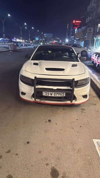 جارجربوليسي • ٢٠١٥ • البصرة