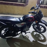 بوكسر • جبلي • ٢٠٢١