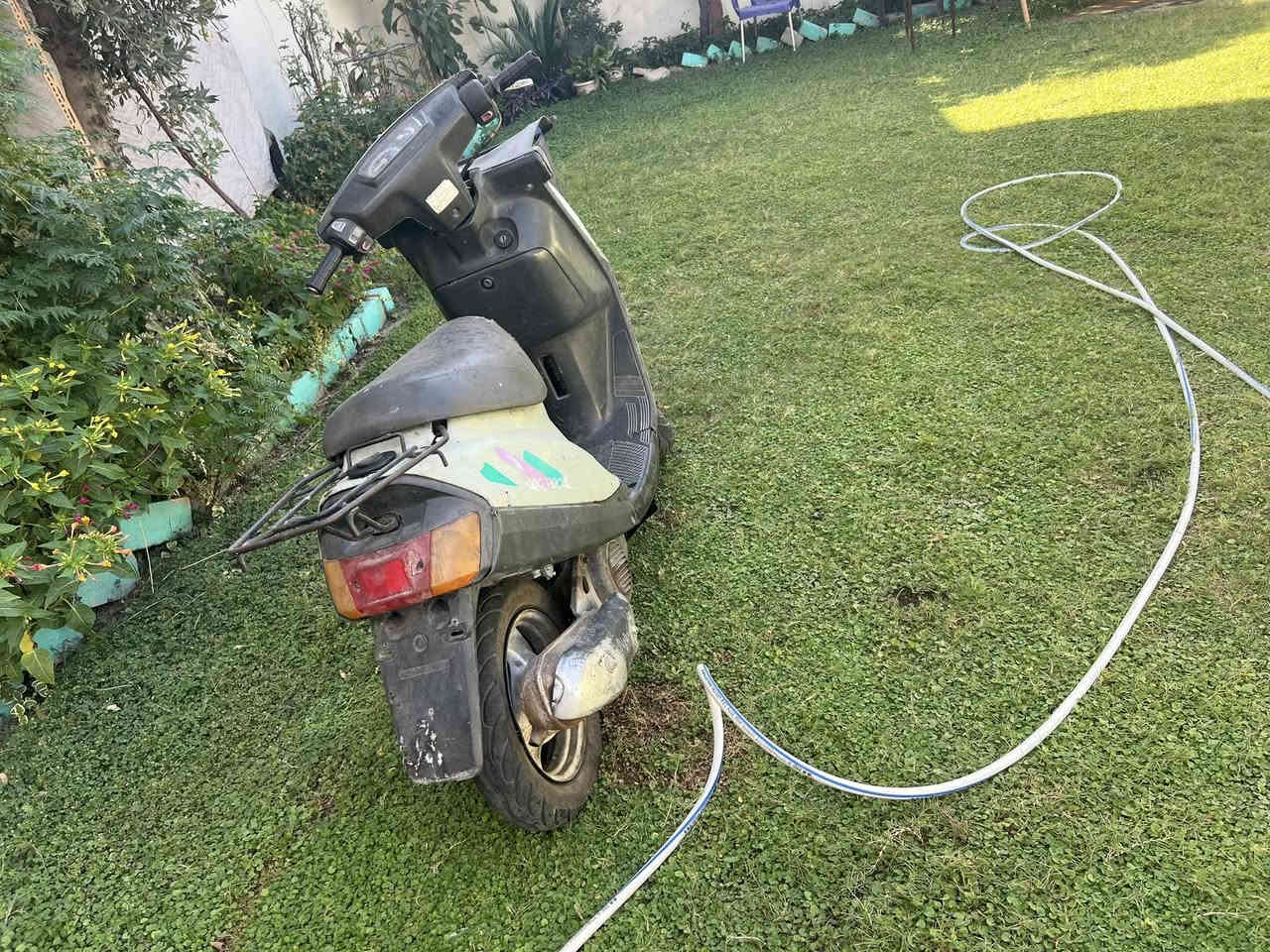 للبيع الرقم *********** الكورك ***********
