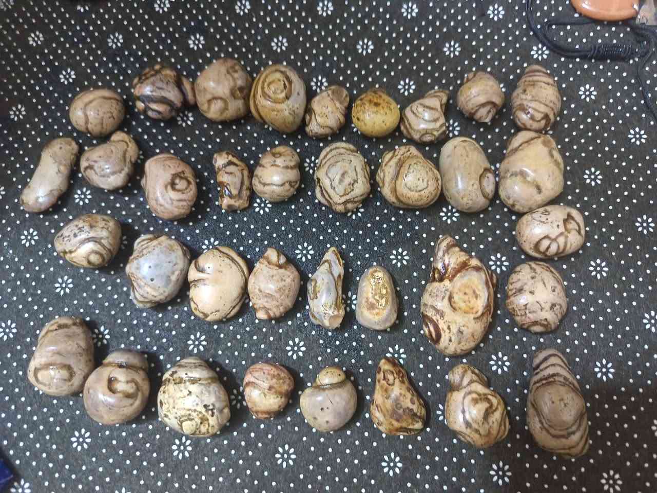 جمله شلع السعر خاص


**إذا كنت صاحب هذا الإعلان وتريد حذفه لأي سبب، رجاءا أرسل رسالة إلى الدعم الفني**