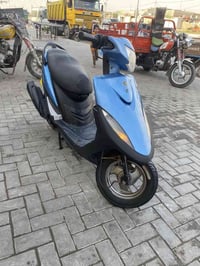 ماكس عدله • بوشه اصليه • سلف