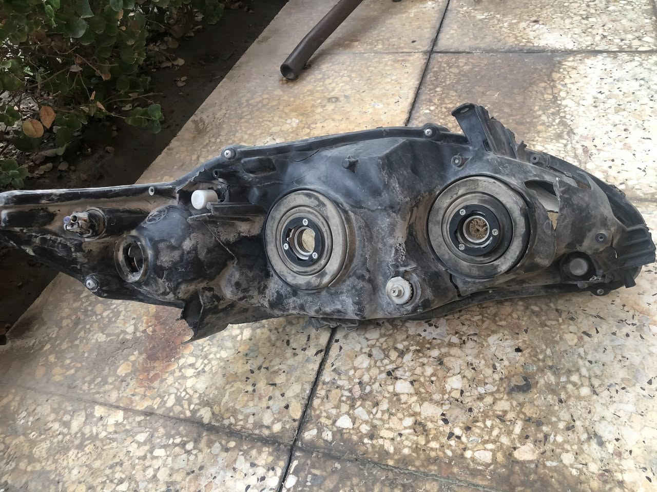 السلام عليكم مازده اصلي مال تفصيخ للبيع ***********
