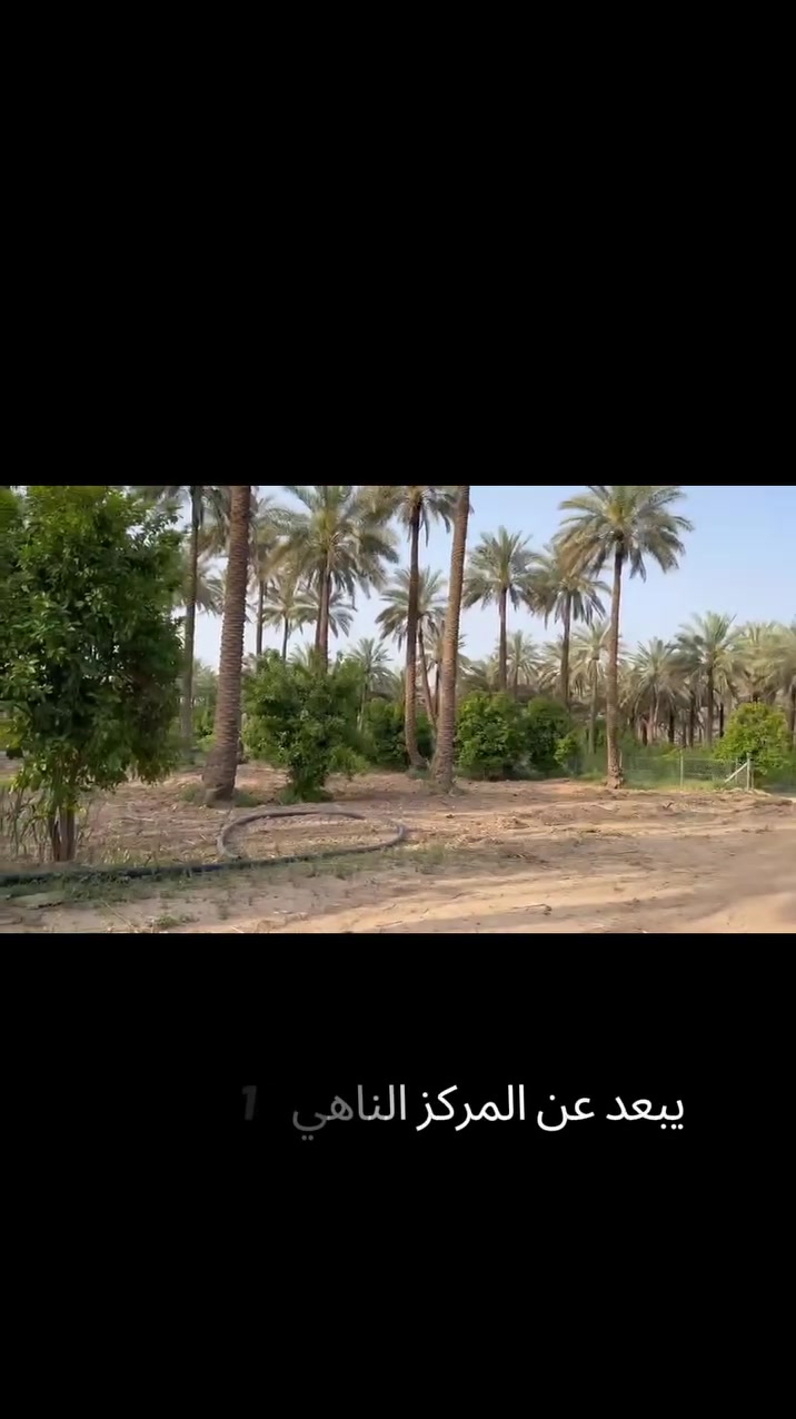 ياالله
للبيع دونم في منطقة الراشديه جنس العقاري ملك صرف تتحوال بإسم المشتري يتوفر فيه جميع الخدمات ماء اساله وماء روئي وكهرباء ويوجد فيه نخيل

وجه 100طلع وجه دونم 50

ترهم ستثمار وه مزرعه متنفس الك وه مزرعه الإيجار سوه انته سعر مناسب ***********
