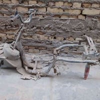 فراشة • شاصي • نظيف