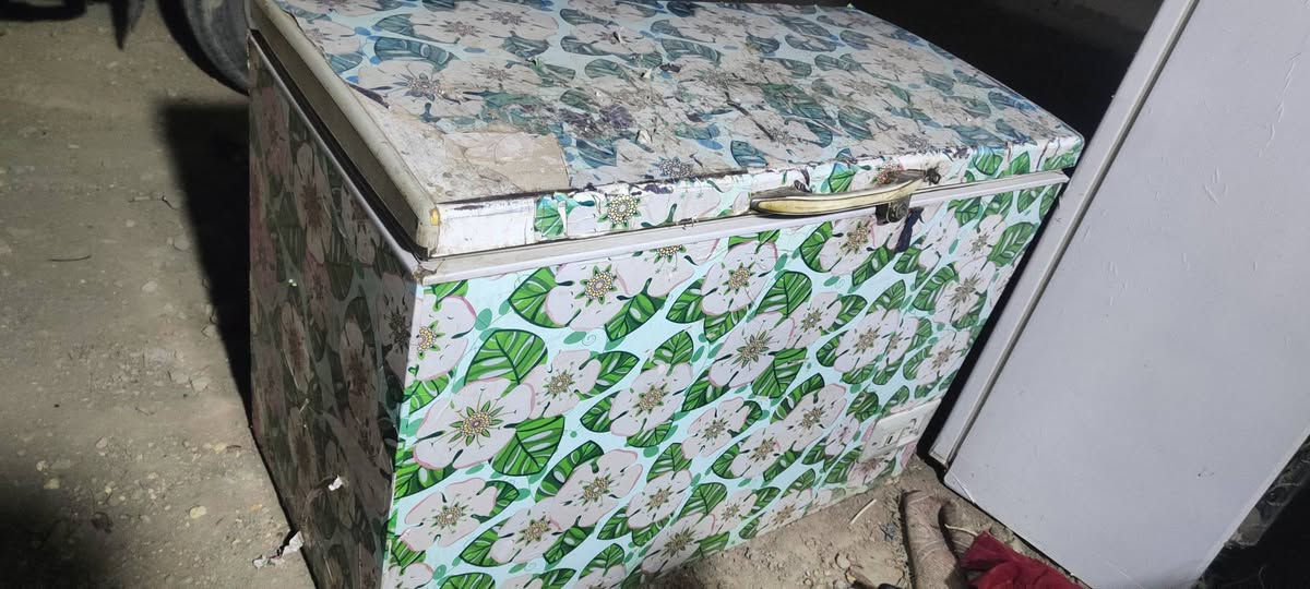 گشر مجمدة للبيع السعر 45 الف الاتصال على ***********
