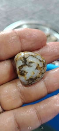 درة النجفي • نادر • كلمة علي