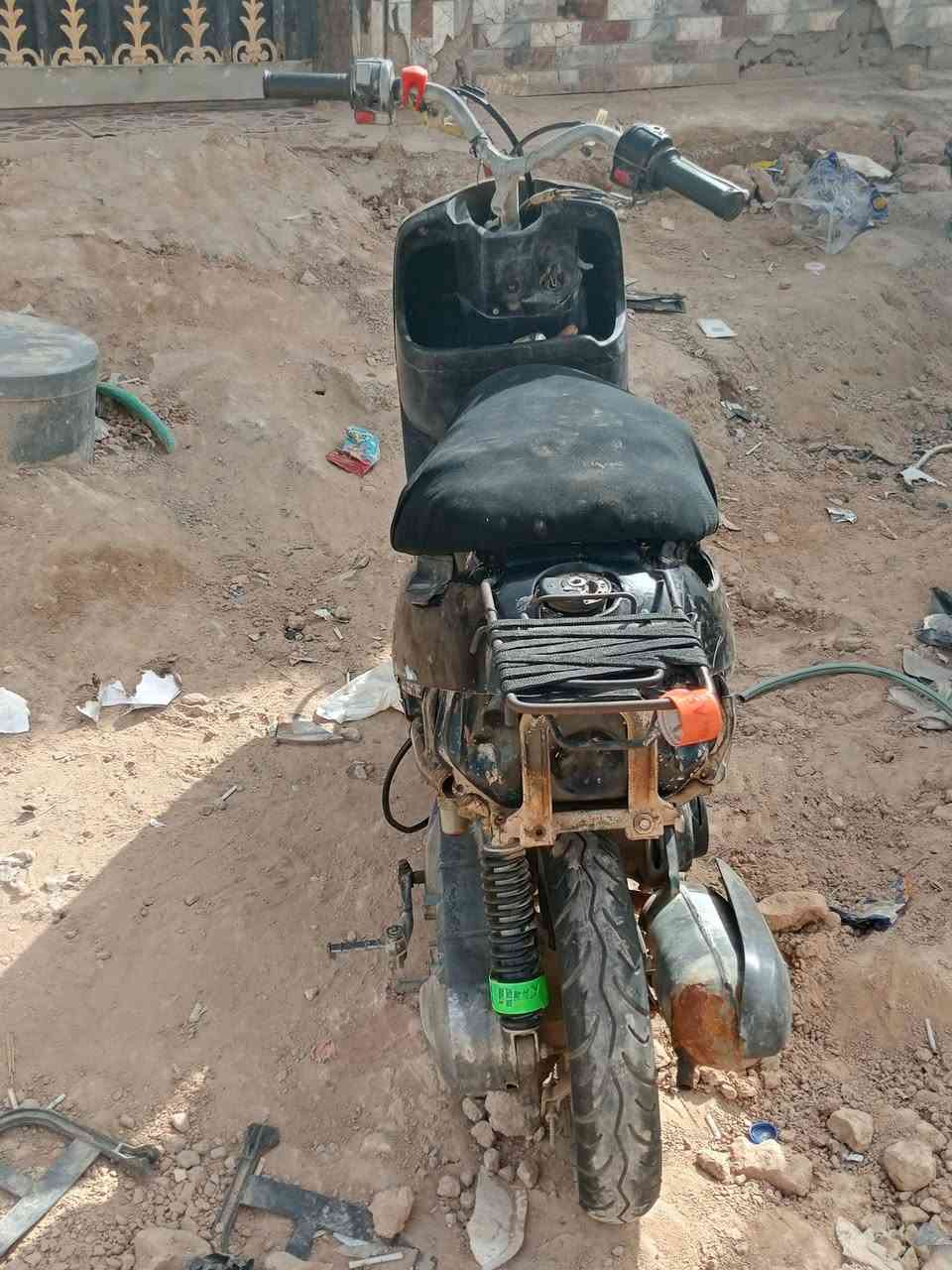 سلام عليكم زعره تجفيت جديد كلج خلفي جديد بلك وراس بلك جديد بنزات جدد ويدات بريك ويدات بانزين جدد كفراتها موجوده عوزها بس جوين جوينها مفطر بدل جوين وشغل شلعه ومعدل تخبل مراوس فقط شعندك مراوس نزل


**إذا كنت صاحب هذا الإعلان وتريد حذفه لأي سبب، رجاءا أرسل رسالة إلى الدعم الفني**