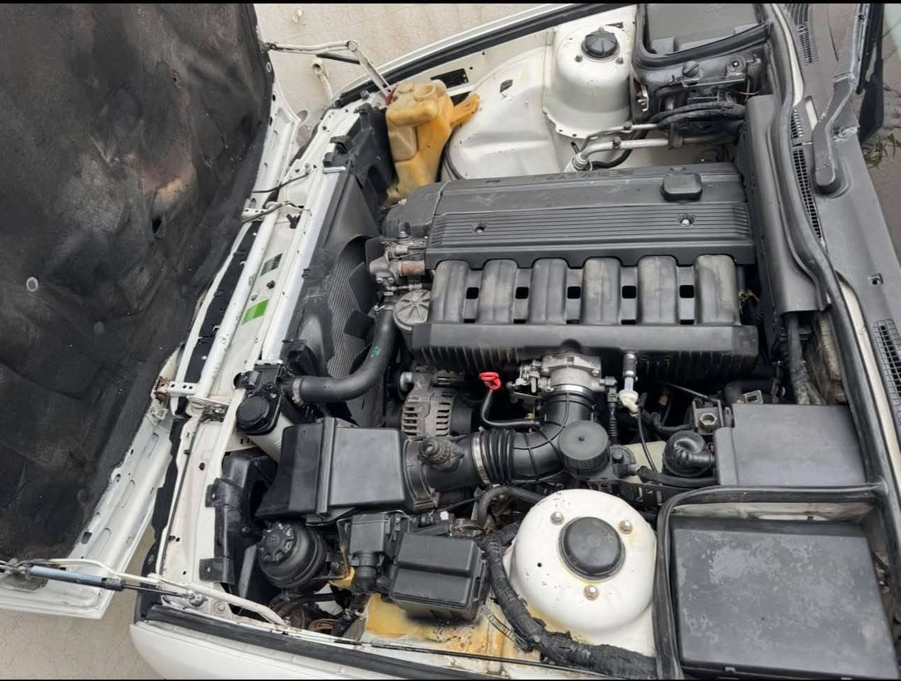 بە ناوی خوای گەورە
BMW 525i 1992
سەیارەکە قەپات مواسفاتە مەشاللەی ئەویت لە جوانی هەموو گیانی کراوتە 95 و m لە رەسما چۆنا رو بە رو جوانترا هیج نوقسانی نیە تەبردی ئیش ئەکات ❄️ سەنەوی و ژینگەو بانی هەموی تازایە سەنەوی تا 2031 تازەیە بە ناوی خۆمەویە بە شەرتی گیر و مەکینە گیری ئوتوماتیکە ناوی جلدا 4 جام کاربایە یەک جەمپی بجوکی لای سایەقی هەیە حیزامە بۆ جوانی بی مەعجون 4 تایە و ویلی تازەی لە ژیرا سەیارەکە مالی دۆستا نرخی 76$ مجالیکی برایەنە 
*********** السليمانية, العراق
