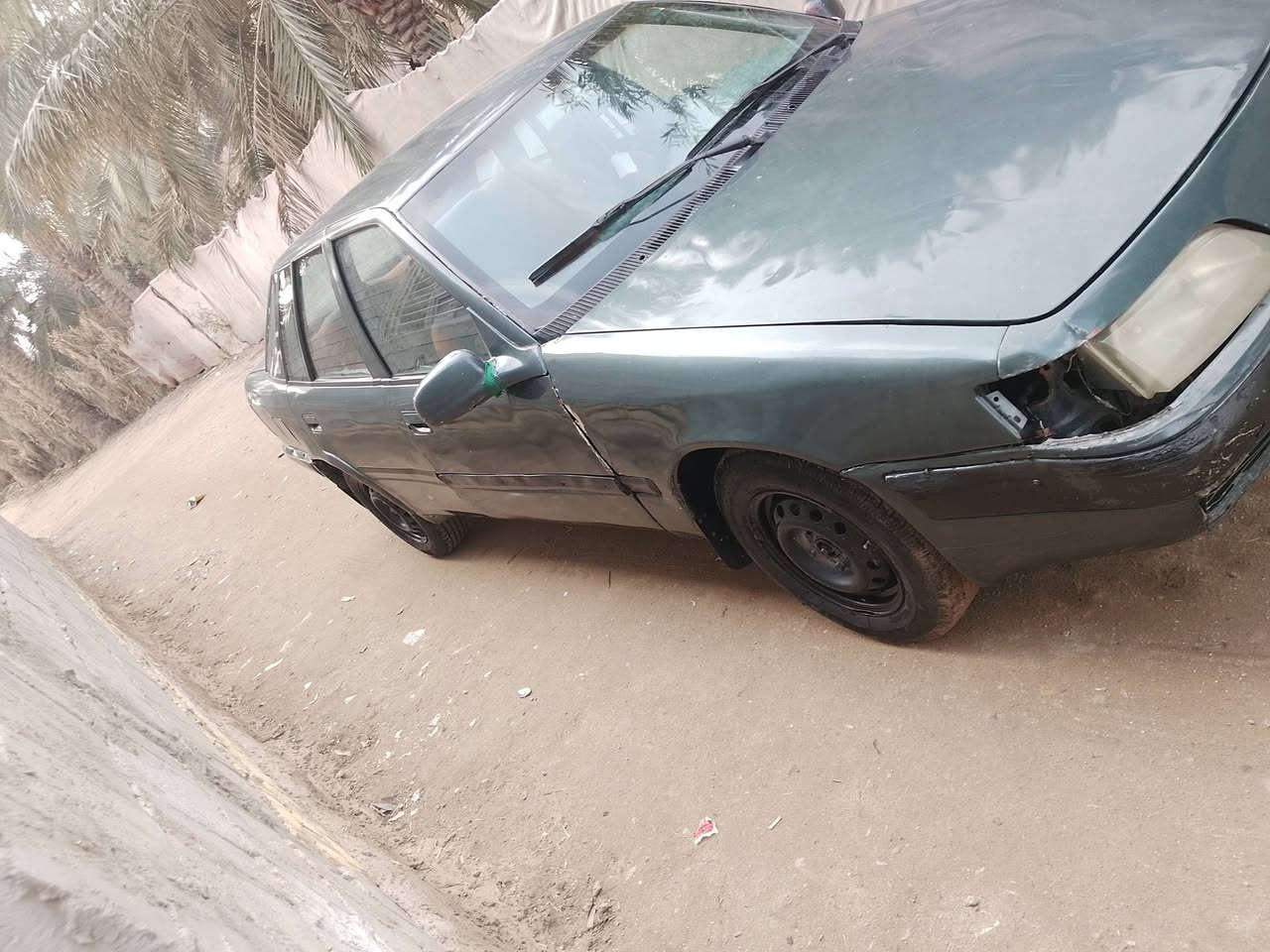 البيع موديل 1995 سياره جهزه
وين مايعجبك اطلع كير اوتماتيك كهربايات مسكر شغله
مسحات تخم تاير سبير جام كهرباي يصعد ينزل
حداديه كدام شويه يردله ترتيب رقمها نجف الملك بل حله مراوس هم ترهم بسايبه نضيفه سياره موجوده بل نجف ابو صخير  السعر 23 بيه مجال رقم الهاتف ***********
