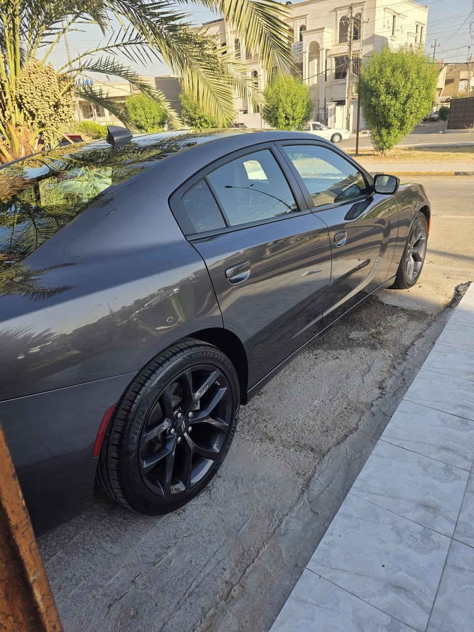 للبيع دوج جاجر موديل 2023 لس كول الإصدار الاخير SXT بلاص اللون فيراني كلين تايتل بدون حادث فقط الدعاميه الخلفيه مصبوغه شرط . السياره على وضع الشركه ماشيه ٤٤ الف ميل فوول مواصفات عدى الفتحه 
بصمات عدد ٢
كشنات تدفئه تبريد امامي خلفي
رادارات جانبيه
كراسي كهرباء الجهتين 
مكان السياره بغداد  السعر ٢٧  للاستفسار ***********

