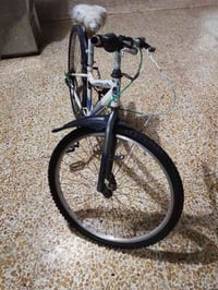 باسكل بالا • جبلي • للبيع