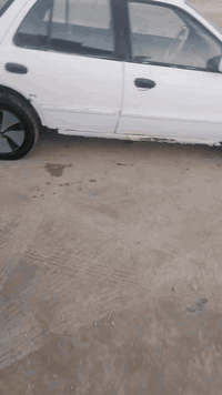 سيفيا • ١٩٩٤ • رقم بغداد