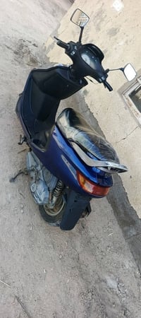 فراشه • فحل • جديده