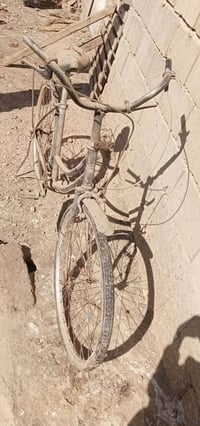 عجلة • للبيع