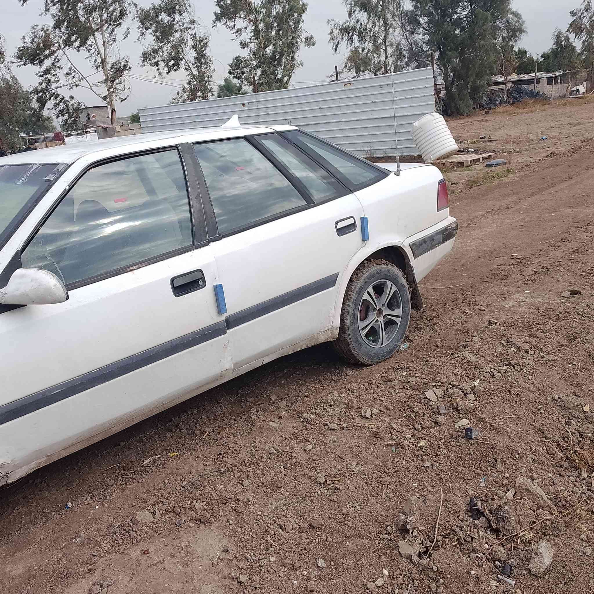 سلام عليكم سبروو البيع مكين وكير مكفلات صدر ممتاز والكشر كدم العين سعر 30 0750591413 مكني اليوسفيه قرب معمل  زينب شرع 4
