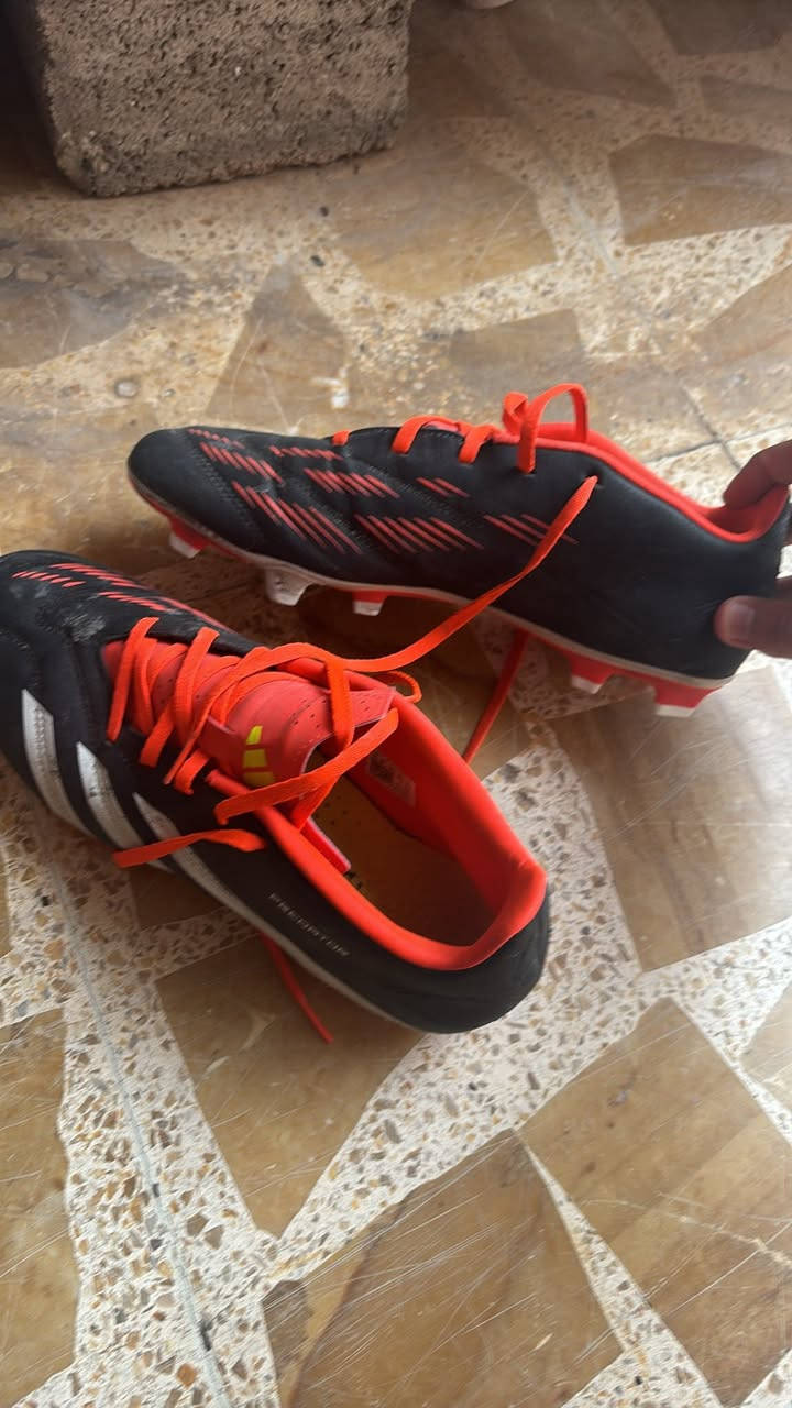 قياس 44 للبيع سعر 50 كركوك


**إذا كنت صاحب هذا الإعلان وتريد حذفه لأي سبب، رجاءا أرسل رسالة إلى الدعم الفني**