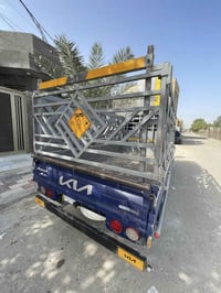 محجر • ارتفاع ١م • ناصريه مركز