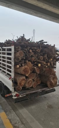 شراء خشب • تكص شجر • فحام