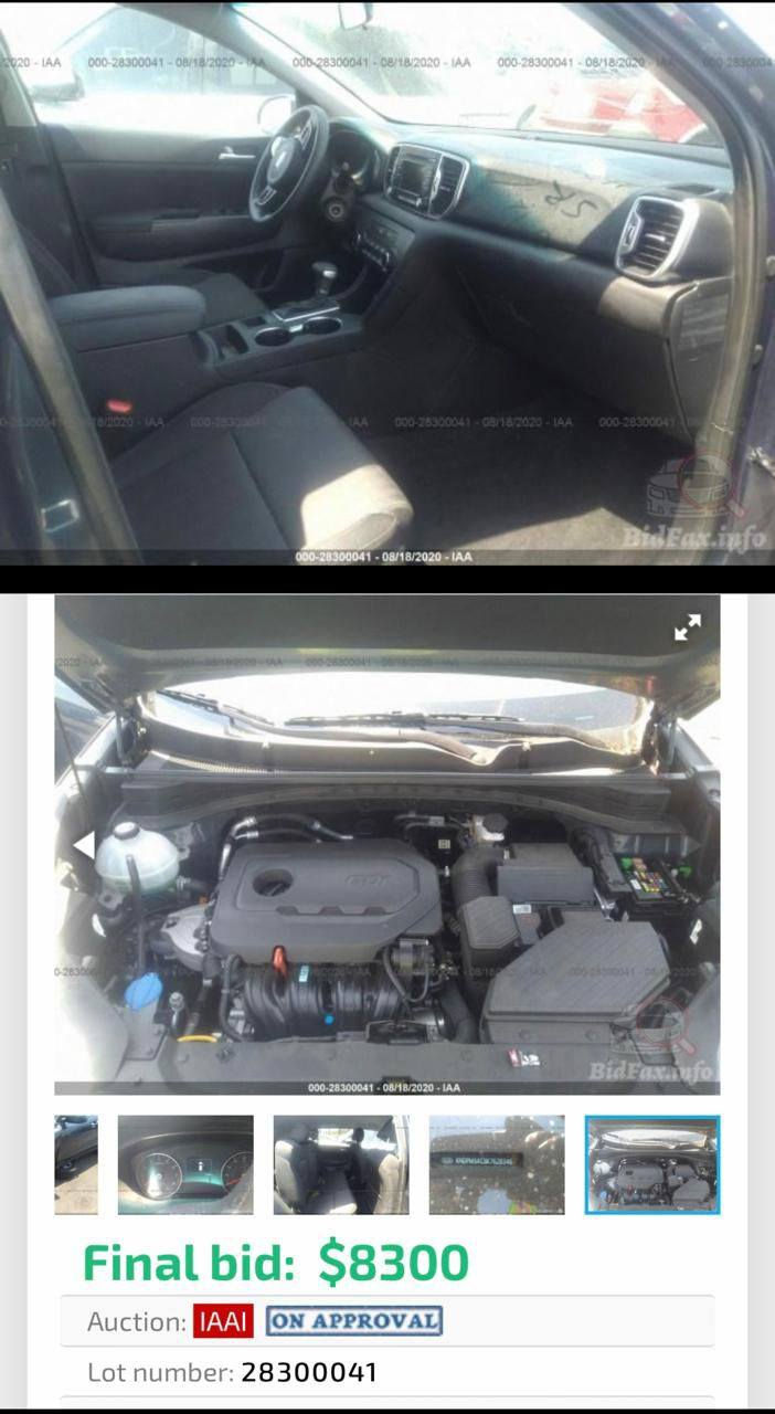 السلام عليكم كيا سبورتج 2019 وارد امريكي مواصفات كامره دوار تحكمات صفحتين ثلالث انضمه قياده مانع انزلاق اشعار ترحيب شاشه اعطال صور حادث موثقه امامكم بيه فقط جاملغ السايق بدون دواخل بدون شاصي كلش جديده ماشية قليل كلش جازه من كلشي اي نقص ماكو السعر 168 بيه مجال *********** مكان بغداد منصور السياره بأسمنه
