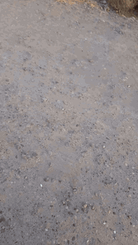 قطعة  ٥٠ متر الواجهة ٦ النزال ٨..٣٥ سنت بيهة محرم ٣٠ متر على روائي شار...