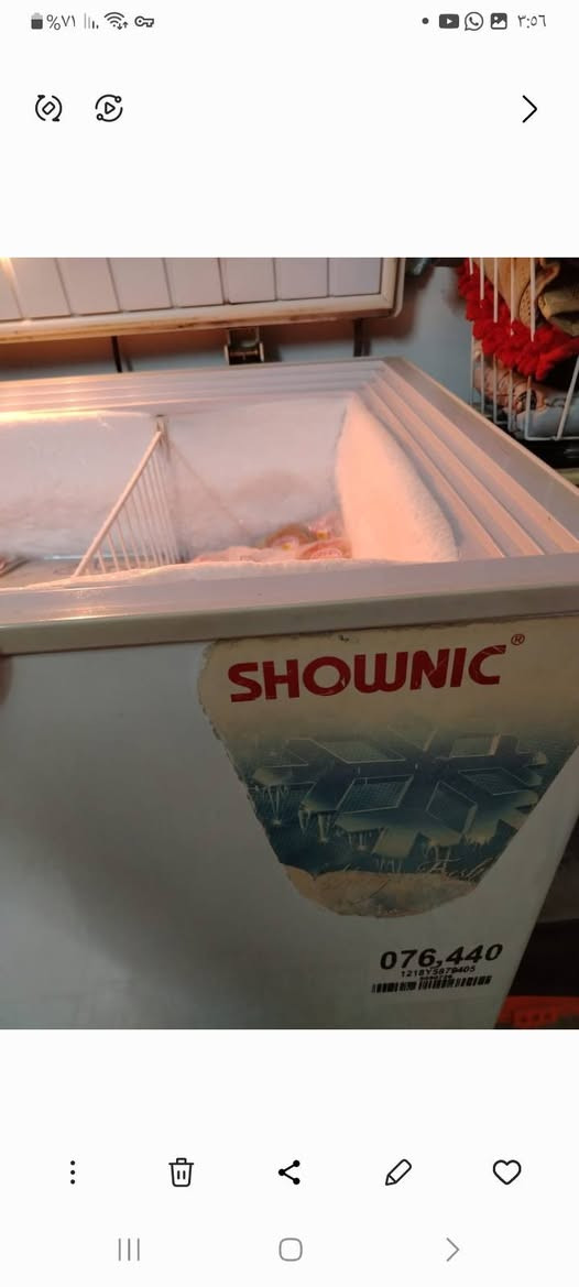 مجمدة ١٠ قدم ماركة شونك كلش نضيفة ومداخلة تصليح وعل فحص الله شاهد ومحافضين عليهة كلش وتجميدهة كدامك بلصورة طكيتلهة صور وثاني يوم شتريت الجديدة وحولت المواد بيهة ونضفت الداابيعهة علمود اليجي يشوفهة تكون جاهزة وتجي يمي وتشغلهة وتفحصهة بيدك ومكاني شارع فلسطين والسعر ١٥٠ وموصلة عندي ١٢٥ ومابعت الله شاهد واذا ماعجبتك لتعلق تعليق سلبي وكلشي اكو بلسوك متفيدك انشالله تلكة الاحسن وللستفسار هذا رقمي وبيه وتساب وتدلل ***********
