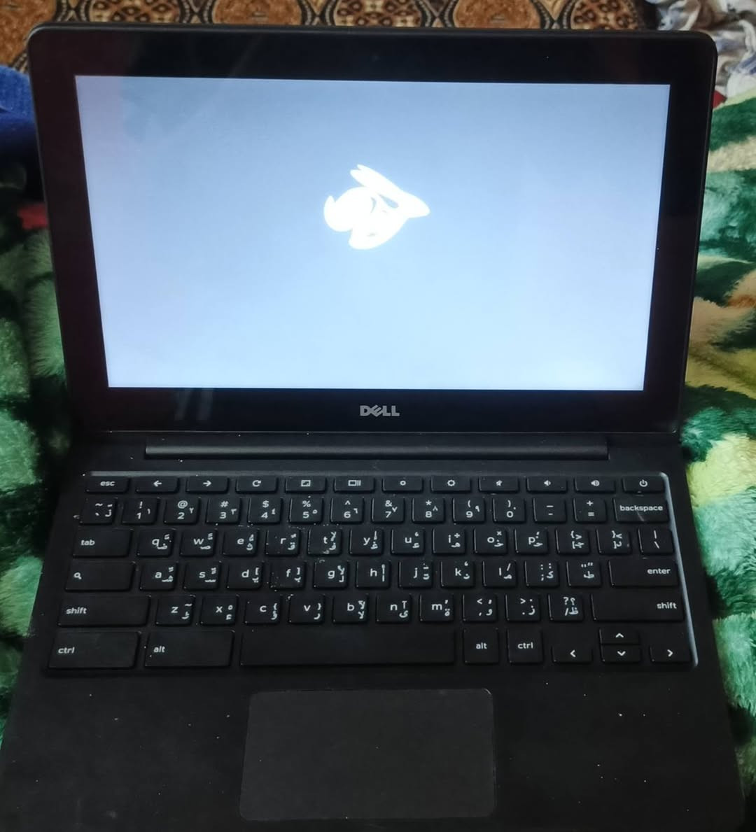 السلام عليكم
حاسبه ديل شاشه حجم 14 ونص ذاكره 16 قابل لتطور مخصصه للالعاب والدراسه ومشاهده المباريات والافلام يجي بيها يوتيوب كوكل فيس نضيفه مستعمله شهرين للاستفسار اتصل ***********
