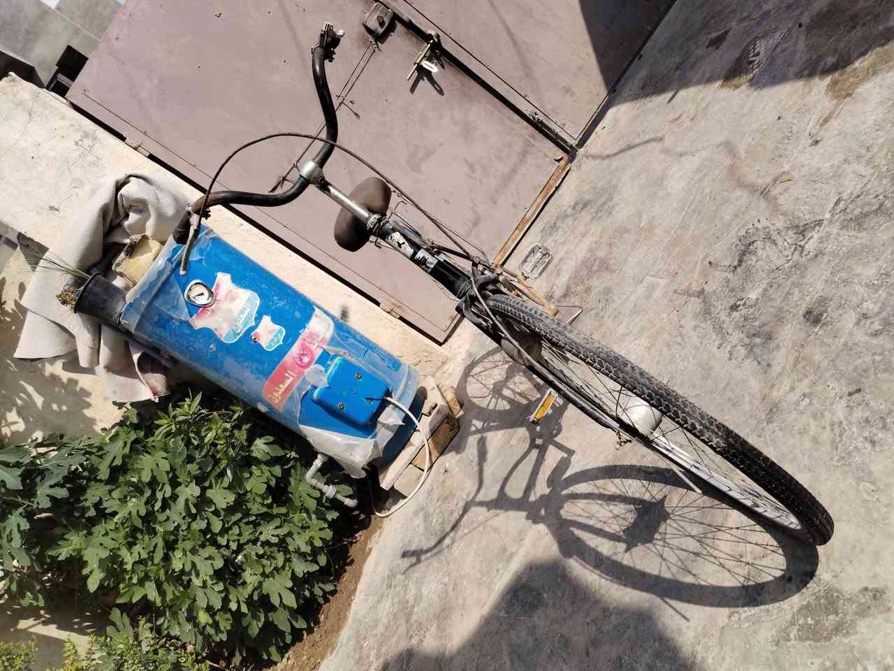 سلام عليكم
عيني باسكلات للبيع اثنين
السعر 60 وبي مجال العنوان ورديه خارج مقابل مستشفى الكفيل الاستفسار عن هذا ارقم***********
