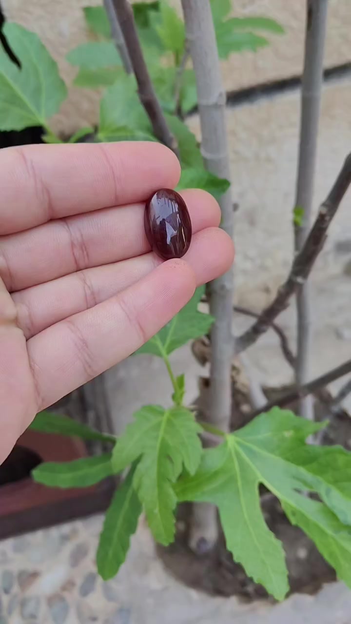 🛑 يا الله
عقيق يماني طبيعي 
لون كرز الكرز  🍒 طول 22 ملم 
لون مشمشي 🟠🍊 طول 23 ملم 
للإستفسار والحجز / ***********
