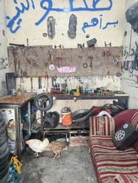 من رخصه مدير الكروب محتاجين فيتر ميكانيكي تكاتك محل موجود بيوميته وعام...