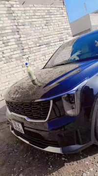 من رخصت الدمن سورنتو الون اسواد سبعه راكب منفصل فول فول سته سلندر مودي...