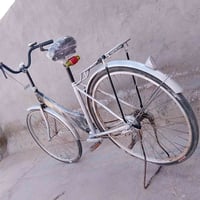 باسكل • مقاس ٢٦ • مصبوغ