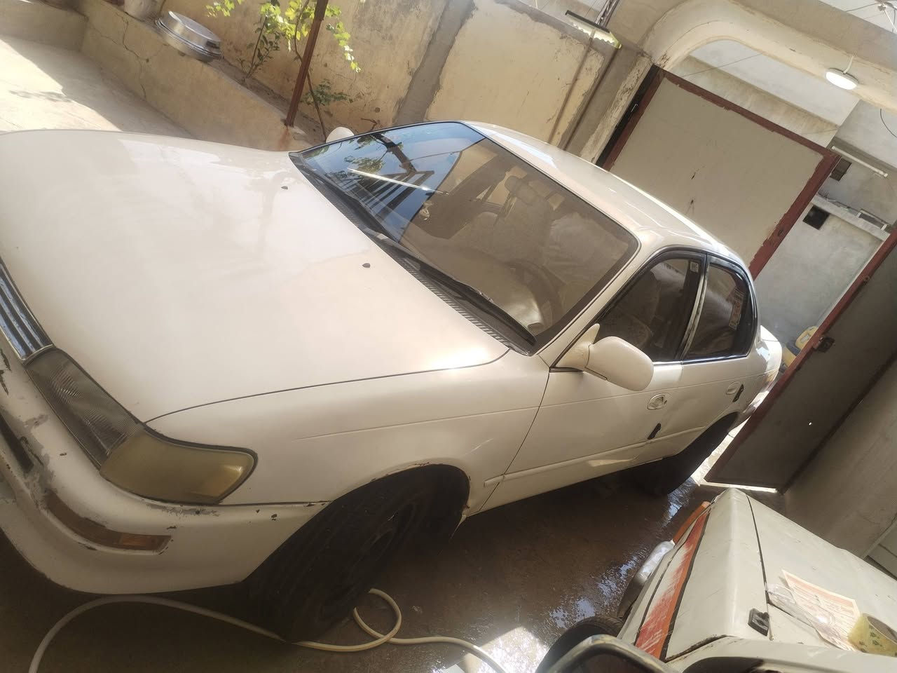 كورلا موديل 93 نينوئ انكليزي سنويا 2029 شرط تحويل محرك كير شرط صبغ قطعه وحده بدون دواخل طخم ورا وكدام جديد كهربايات كلها شرط طخم تيرت جدد ***********   *********** كورككلها بي واتساب مكان سياره موصل حي سماح
