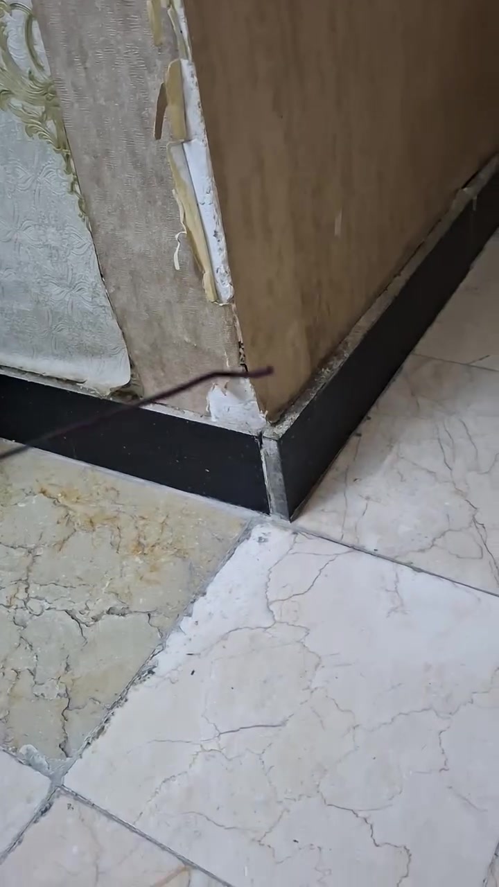 ​🎣 لعشاق الصيد الفول والوزن الخفيف!
قصبة صيد (صنارة) احترافية من الكاربون العالي النقي (High Carbon Rod)، مصممة لتعطيك أعلى درجات الحساسية والمرونة أثناء الصيد الفعلي. 🌊
​المواصفات:
​هيكل متين وخفيف جداً من الكاربون عالي الجودة (Super sensitive aggressive design).
​حلقات وتفاصيل معدنية قوية ومقاومة للصدأ والتآكل.
بيه هواي مميزات


**إذا كنت صاحب هذا الإعلان وتريد حذفه لأي سبب، رجاءا أرسل رسالة إلى الدعم الفني**