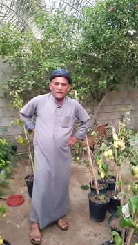 شتله • ديالى • حي الاملاك