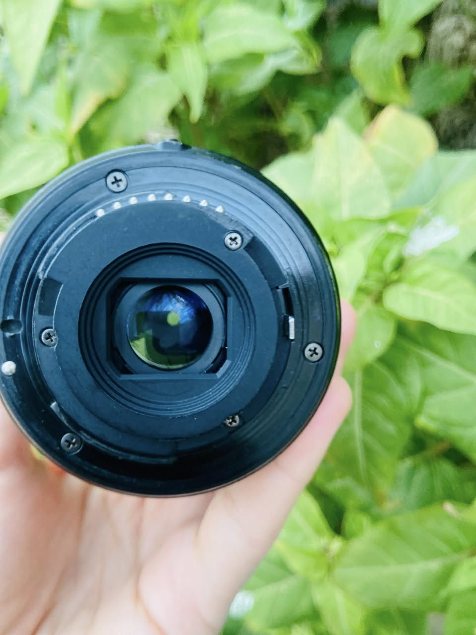 عدسه نيكون 55mm-18 
مستخدمه جداً قليل  السعر مناسب 75مع التوصيل


**إذا كنت صاحب هذا الإعلان وتريد حذفه لأي سبب، رجاءا أرسل رسالة إلى الدعم الفني**