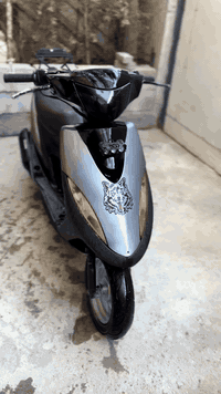 ماكس عدله • كهربائيات شغاله • بصره قبله