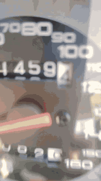 دايون شنك • مديل ٢٣ • اوراق أصلية