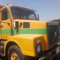 قميار فالفو لبيع العنوان بغداد جرف النداف 07775138922