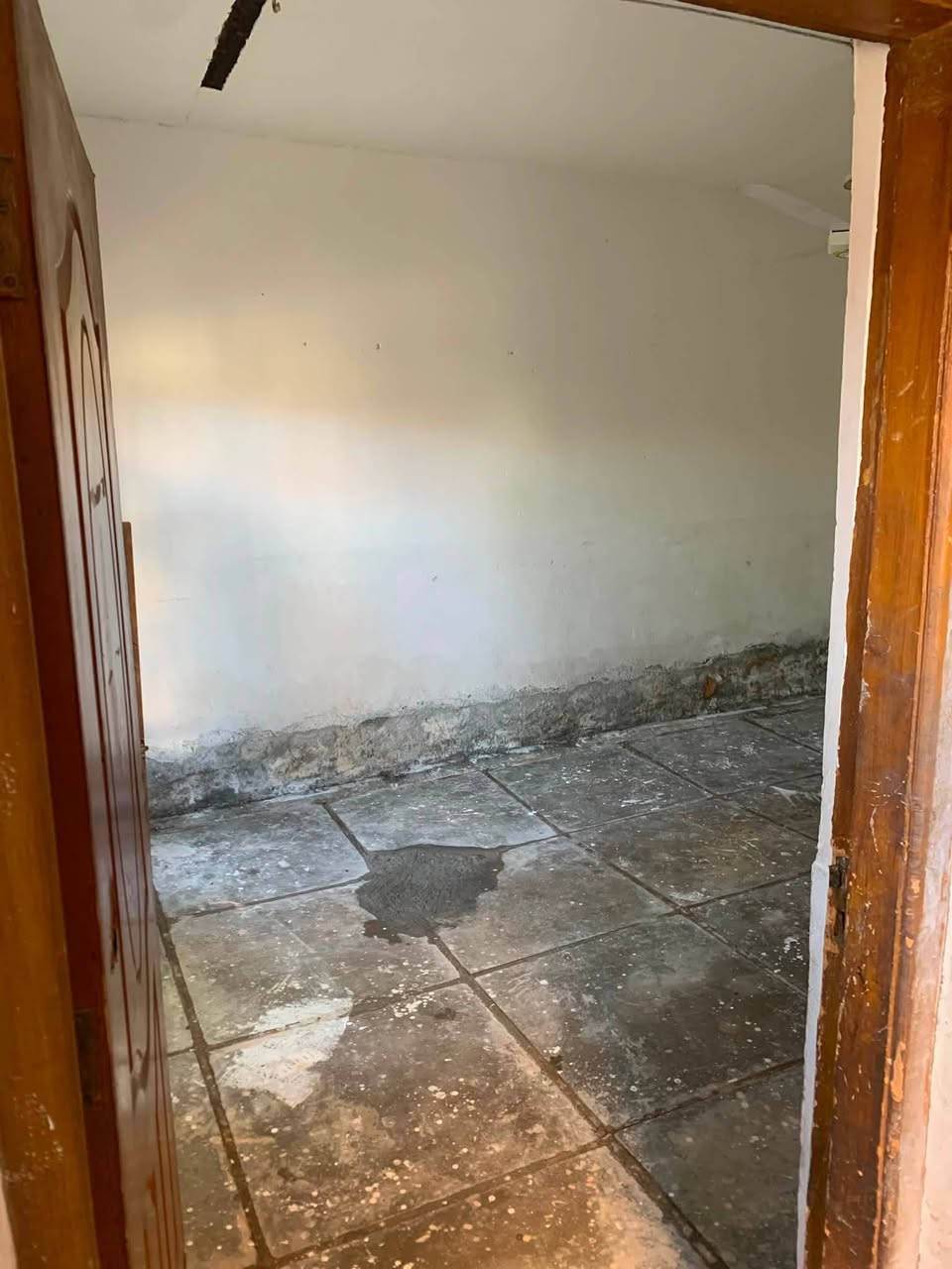 🏡 بيت للإيجار – حي الفرات

📍 العنوان: حي الفرات، مقابل مدرسة الأقصى.

يمتاز الموقع بشارع مبلط ومجاري مكتملة حتى باب البيت.

مواصفات البيت:

- غرفة نوم
- صالة
- مطبخ
- مجمع صحيات
- كراج
- حديقة

للاستفسار والمزيد من التفاصيل، يرجى التواصل على الخاص أو الاتصال.***********
