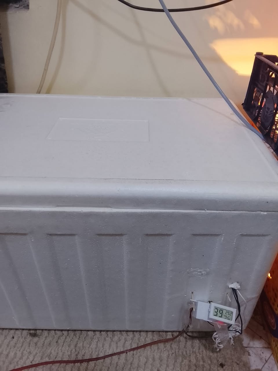 فقاسه للبيع شرط التفقيس سعر 35الف يوجد توصيل رقمي ***********
