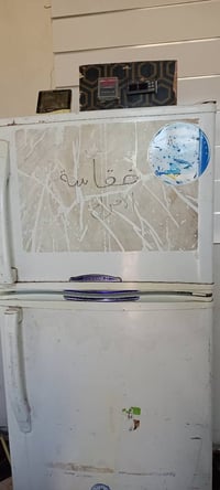 فقّاسة • افراخ • جاهزة