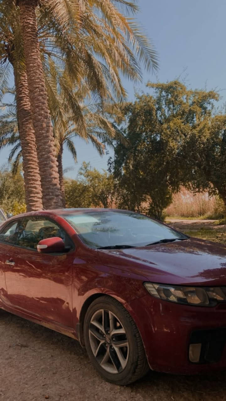 السلام عليكم  كيا فورتي تك باب 2011 بيها 3 قطع السعر 75 وبيها مجال  للاستفسار ***********
بغداد الزعفرانيه
