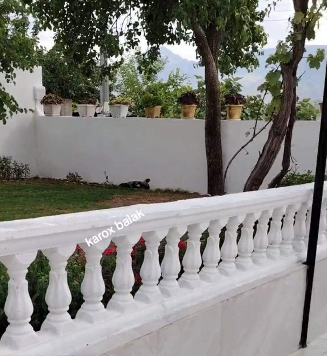 الي يريد شغل يتصل على هذا الرقم
لازم يكون عرض جوه الغالب 23سنتم
الي تريد تشتغلها
‏‪***********‬‏
‏‪***********‬‏
ارتفاع 60 
ارتفاع 90
